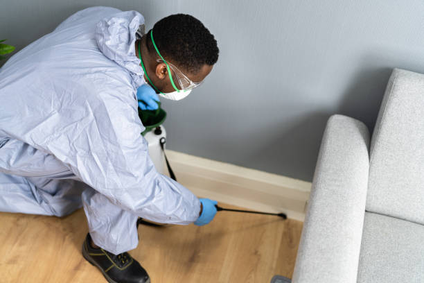 Best Residential Pest Control  in Albany, LA